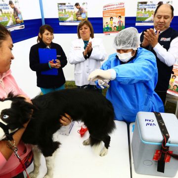 Minsa vacunará gratis contra rabia a más de un millón de perros en el país