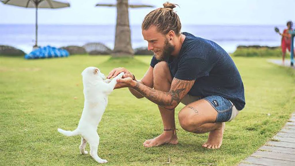 Australia: ley reconoce que los animales tienen sentimientos