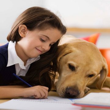 NIÑOS Y MASCOTAS