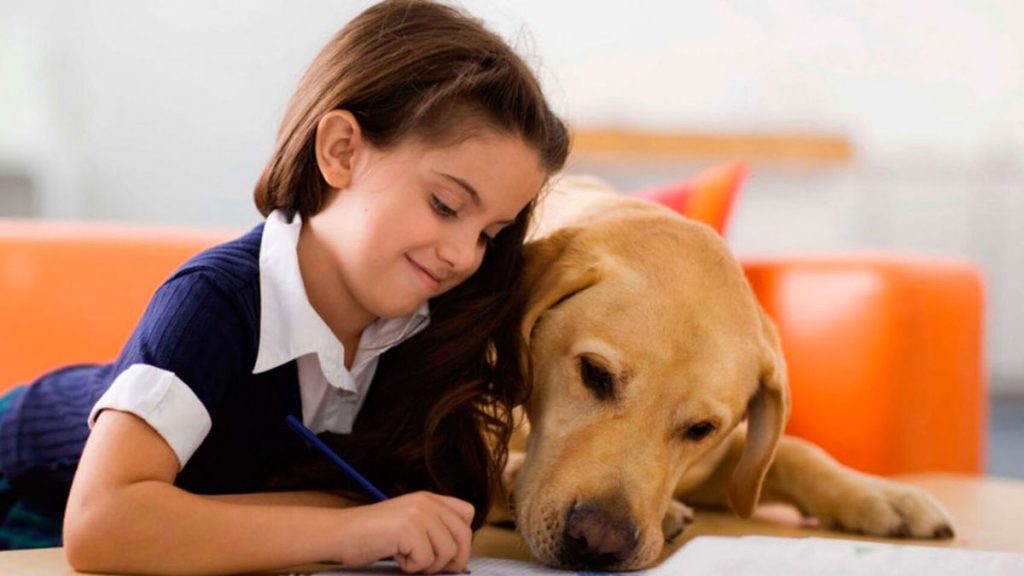 Colegio de España estrenó asignatura Protección Animal