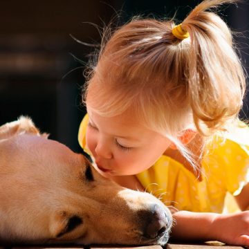 Tu cachorro puede ayudar a niños con déficit de atención