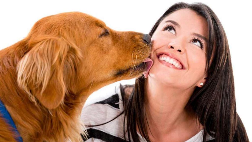 ¿Por qué los perros lamen a la gente?