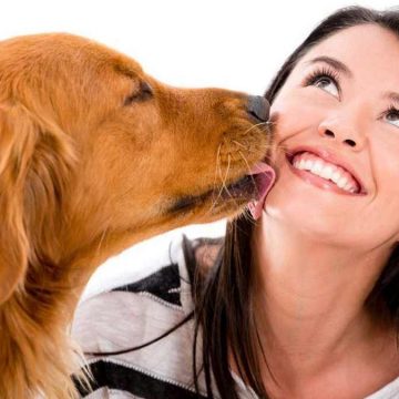 ¿Por qué los perros lamen a la gente?