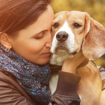 Imagen destacada ¿Cómo ayuda una mascota en tiempos de cuarentena?