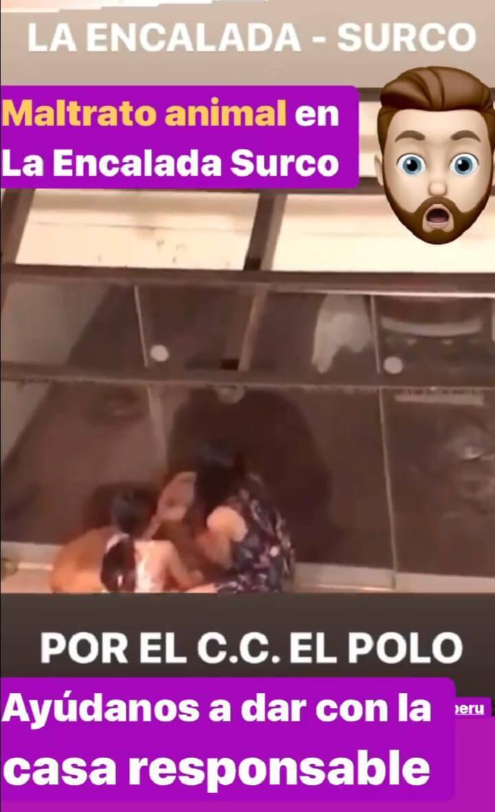 perro-maltratado-surco-por-menores-de-edad-1586885717