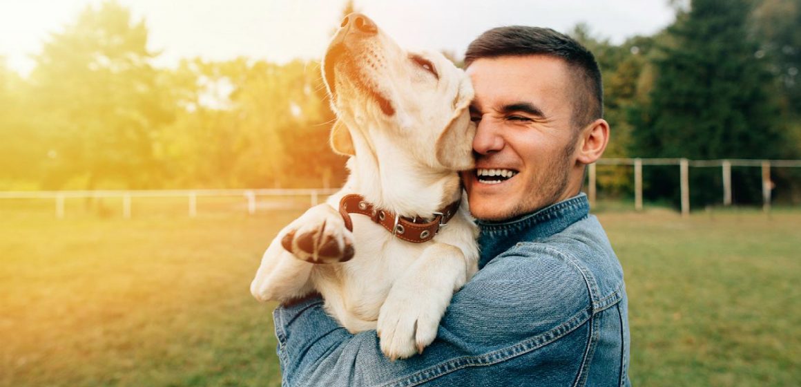 5 signos que demuestran que tu perro te ama