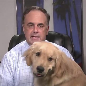 Viral: hombre del clima es interrumpido por su mascota en plena transmisión en vivo
