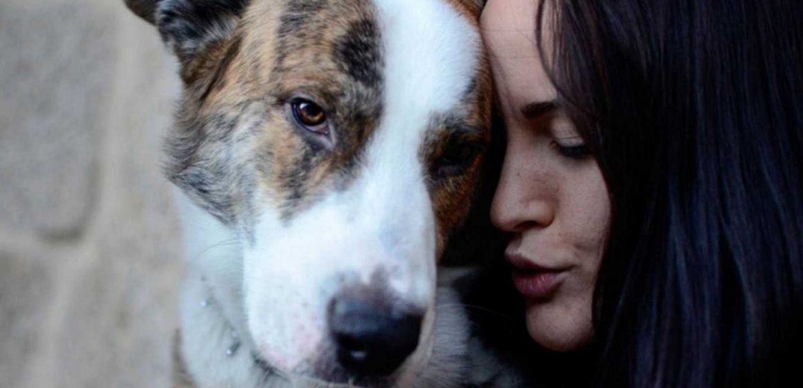 Razones para adoptar a una mascota durante la cuarentena