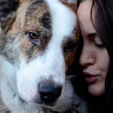 Razones para adoptar a una mascota durante la cuarentena