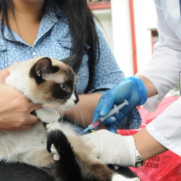 Campaña gratuita de desparasitación