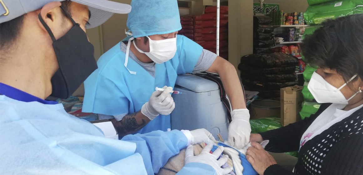 portada Jornada de vacunación canina en Cayma, Arequipa