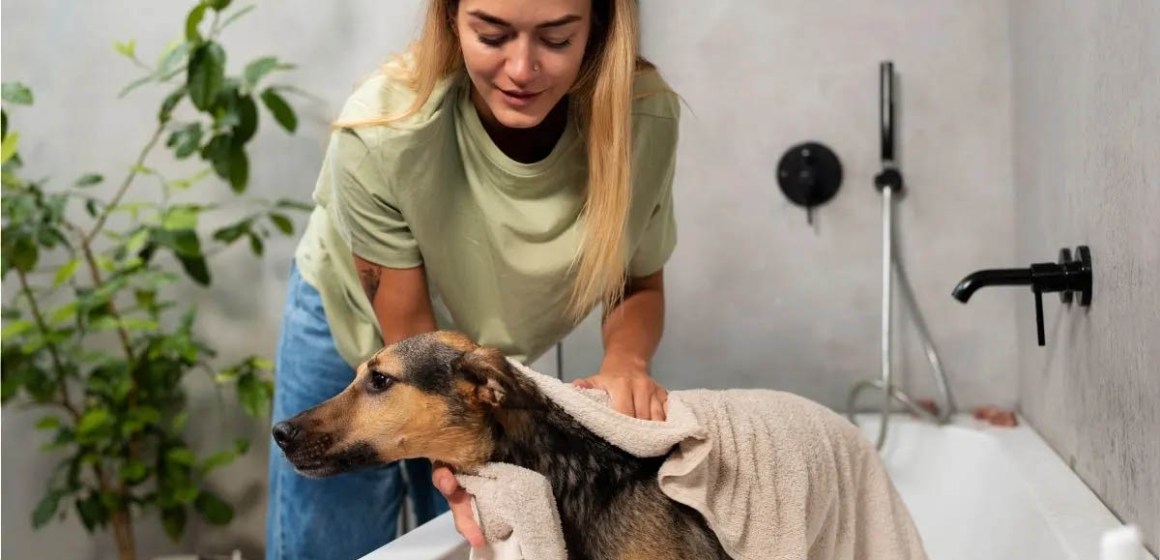 perros baño ¿Cómo bañar a tu mascota en verano? Consejos para mantener su piel sana y protegida
