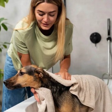 ¿Cómo bañar a tu mascota en verano? Consejos para mantener su piel sana y protegida