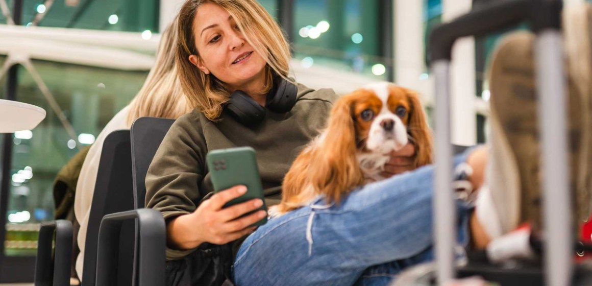 viajas al extranjero con tu mascota ¿Viajas con tu mascota? Conoce los requisitos para ingresar o salir del país en 2025
