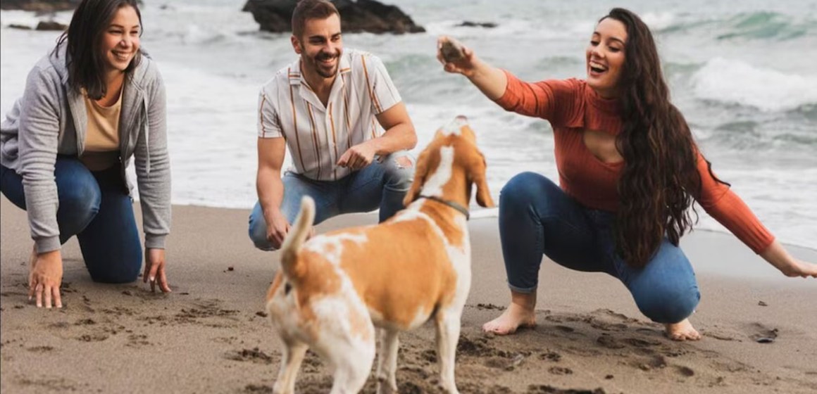 Las mejores playas pet friendly en Perú para disfrutar junto a tu mascota