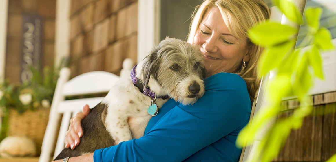 Día del Perro: consejos veterinarios para una vida más larga y saludable