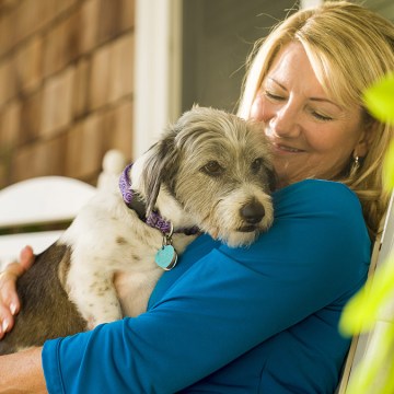 web Día del Perro: consejos veterinarios para una vida más larga y saludable